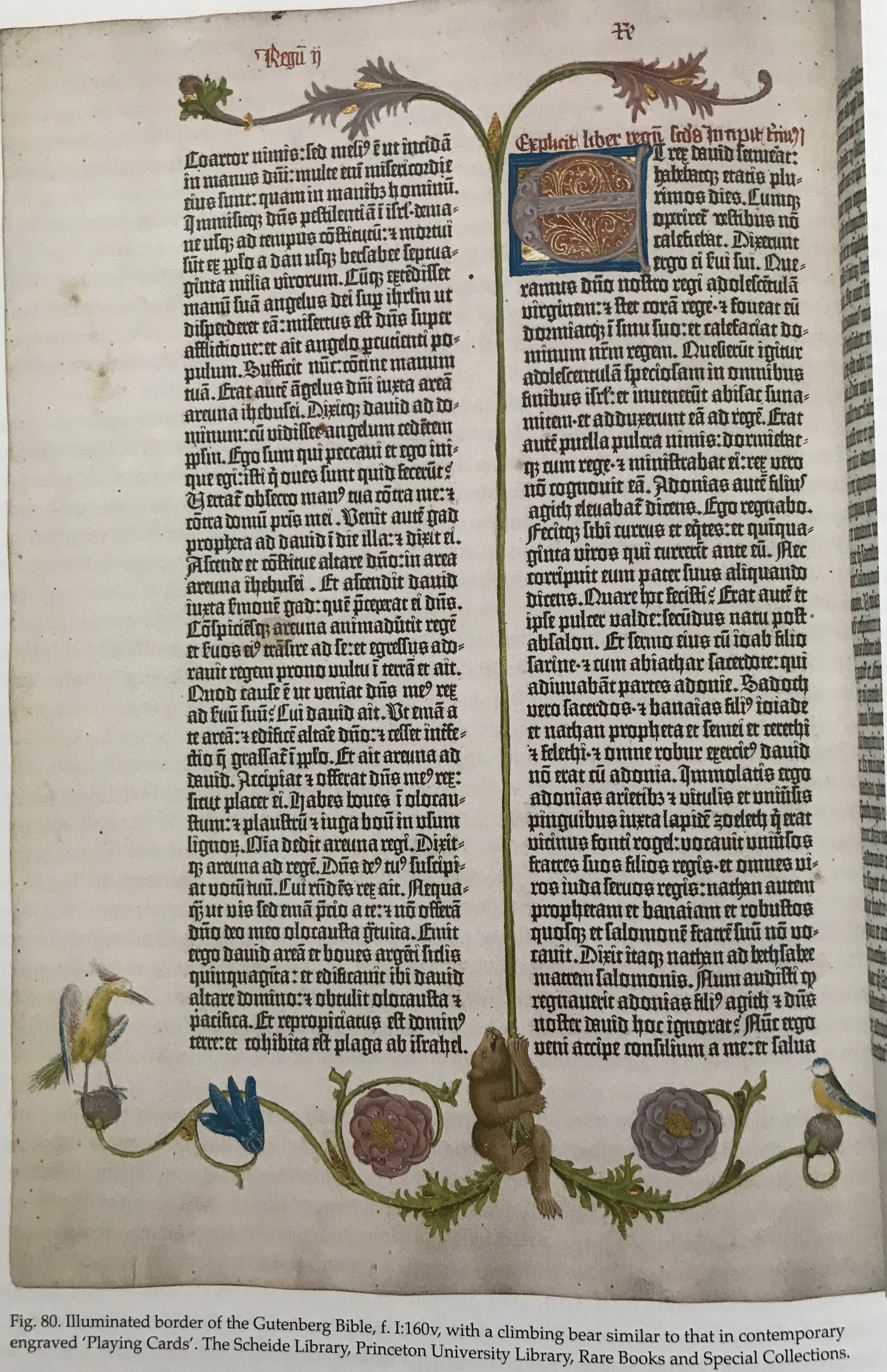 The Gutenberg Bible | cabinet